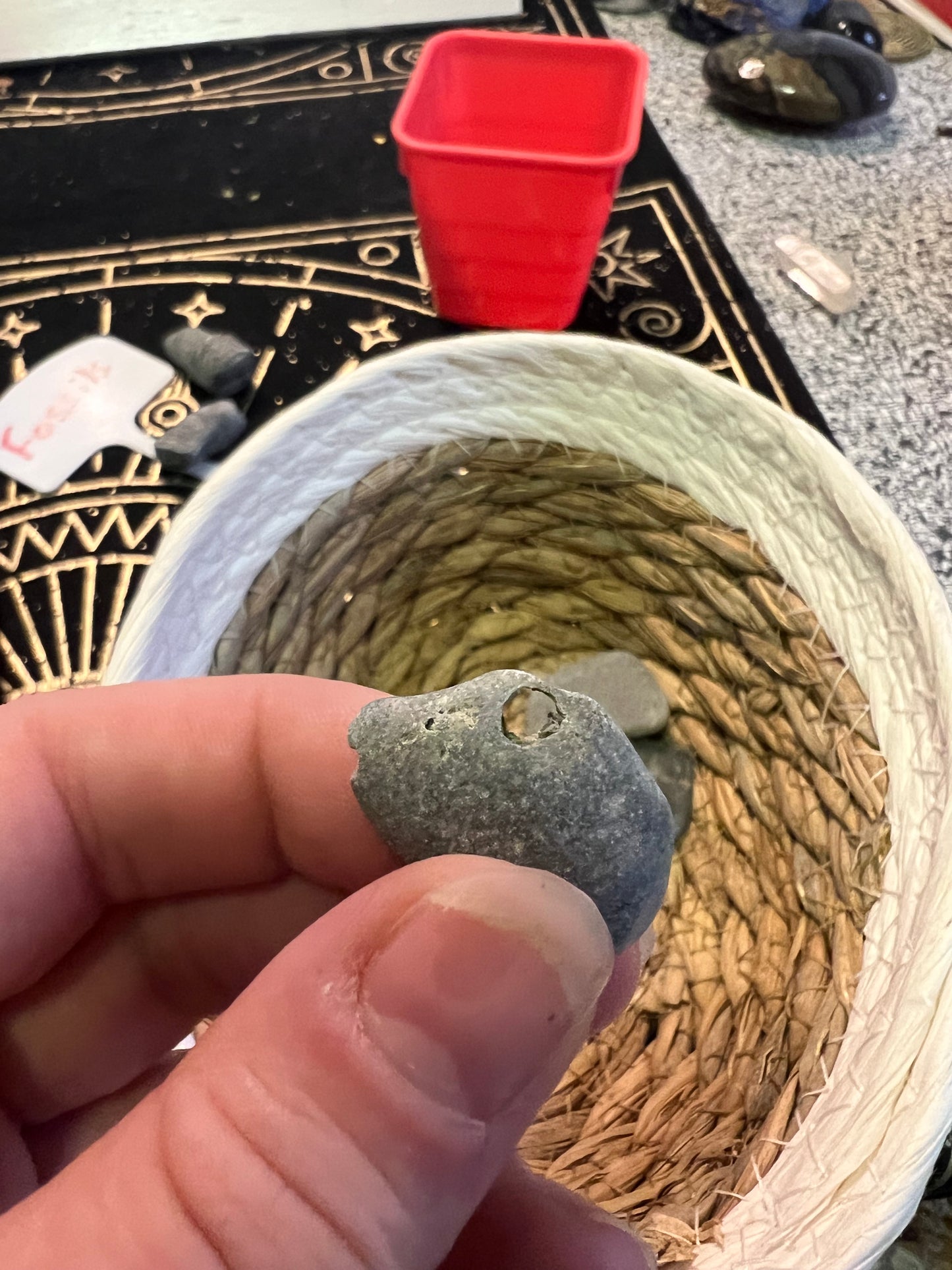 Lucky Stones, Witch Stones & Fossils from Cayuga Lake