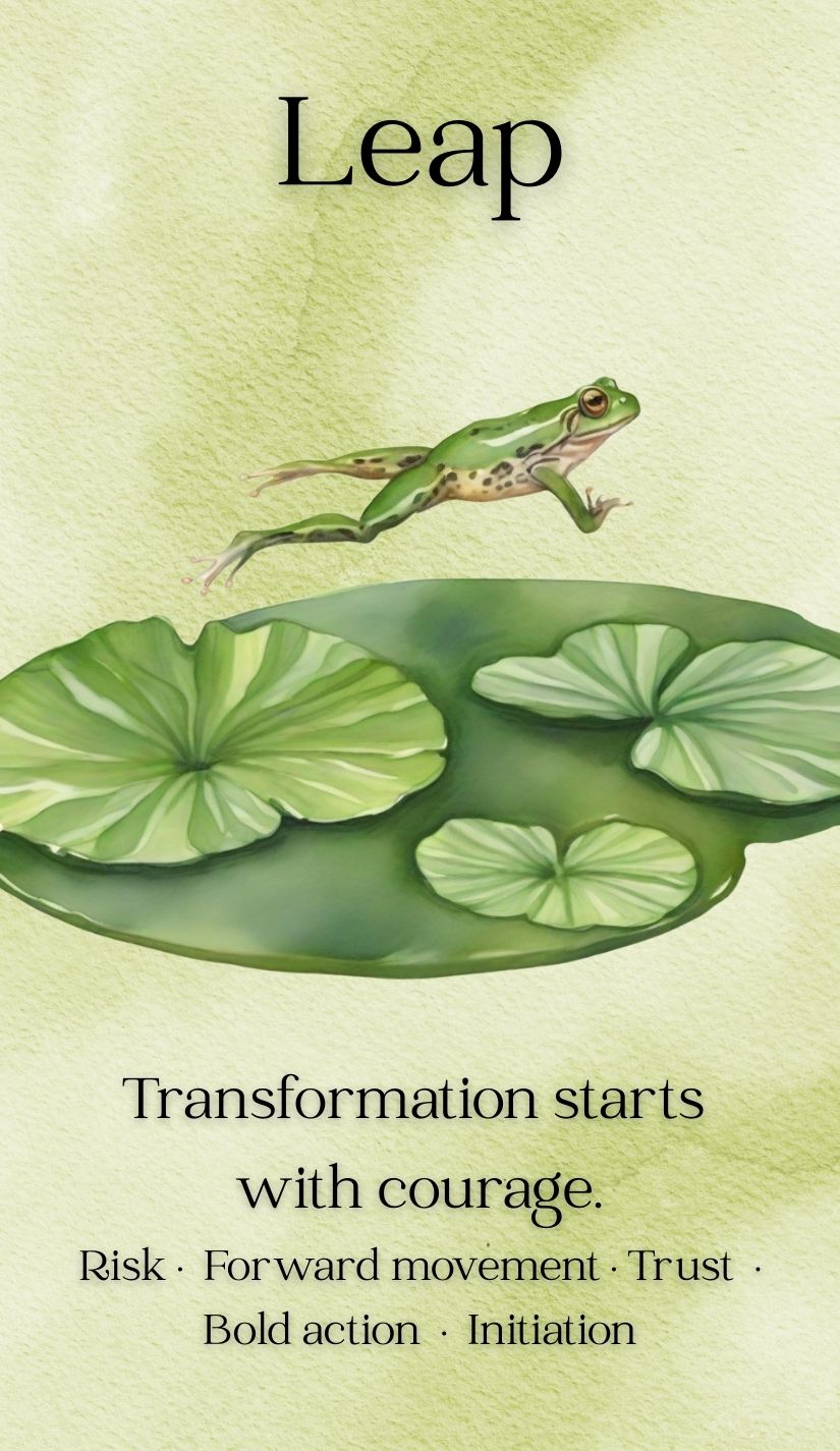 Frog Oracle Deck (Pre-Order)