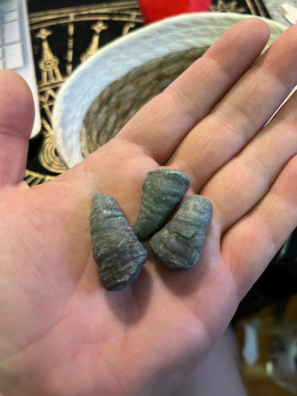 Lucky Stones, Witch Stones &  Fossils from Cayuga Lake