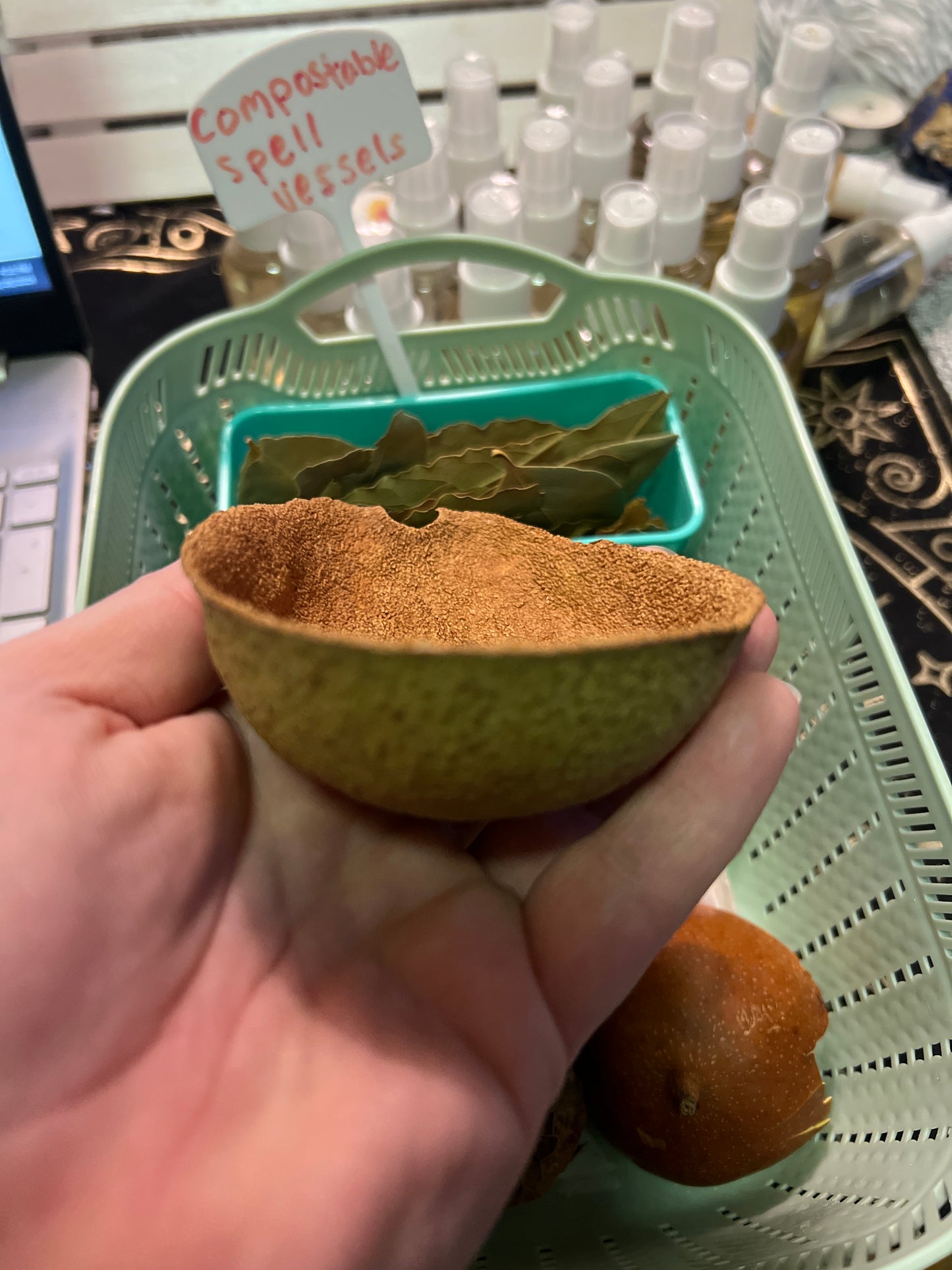 Eco-Friendly Compostable Spell Vessels - Avocado, pomelo, passion fruit