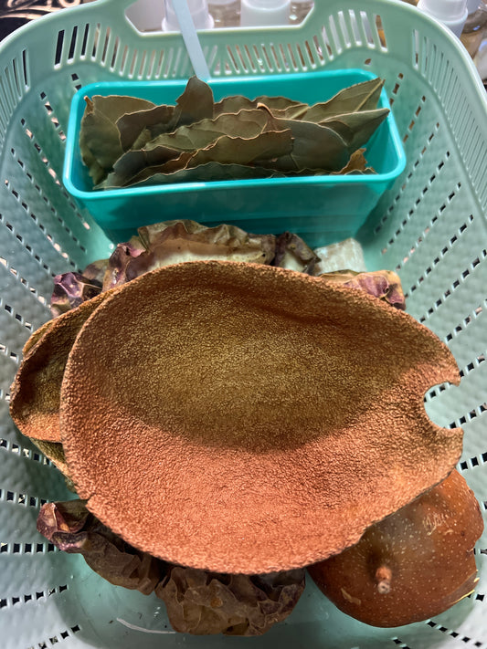 Eco-Friendly Compostable Spell Vessels - Avocado, pomelo, passion fruit