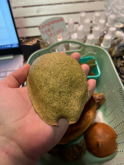 Eco-Friendly Compostable Spell Vessels - Avocado, pomelo, passion fruit