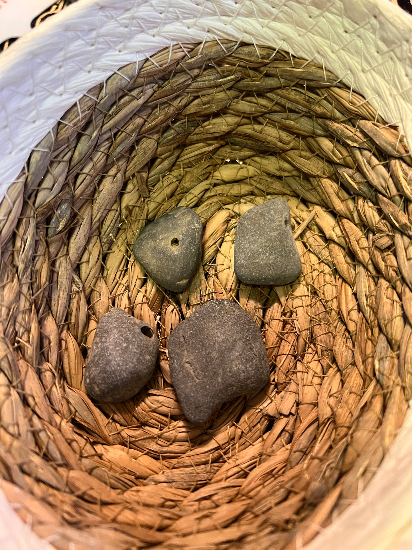 Lucky Stones, Witch Stones &  Fossils from Cayuga Lake