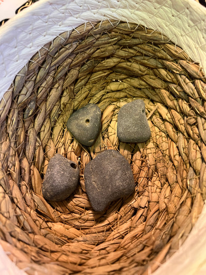 Lucky Stones, Witch Stones &  Fossils from Cayuga Lake