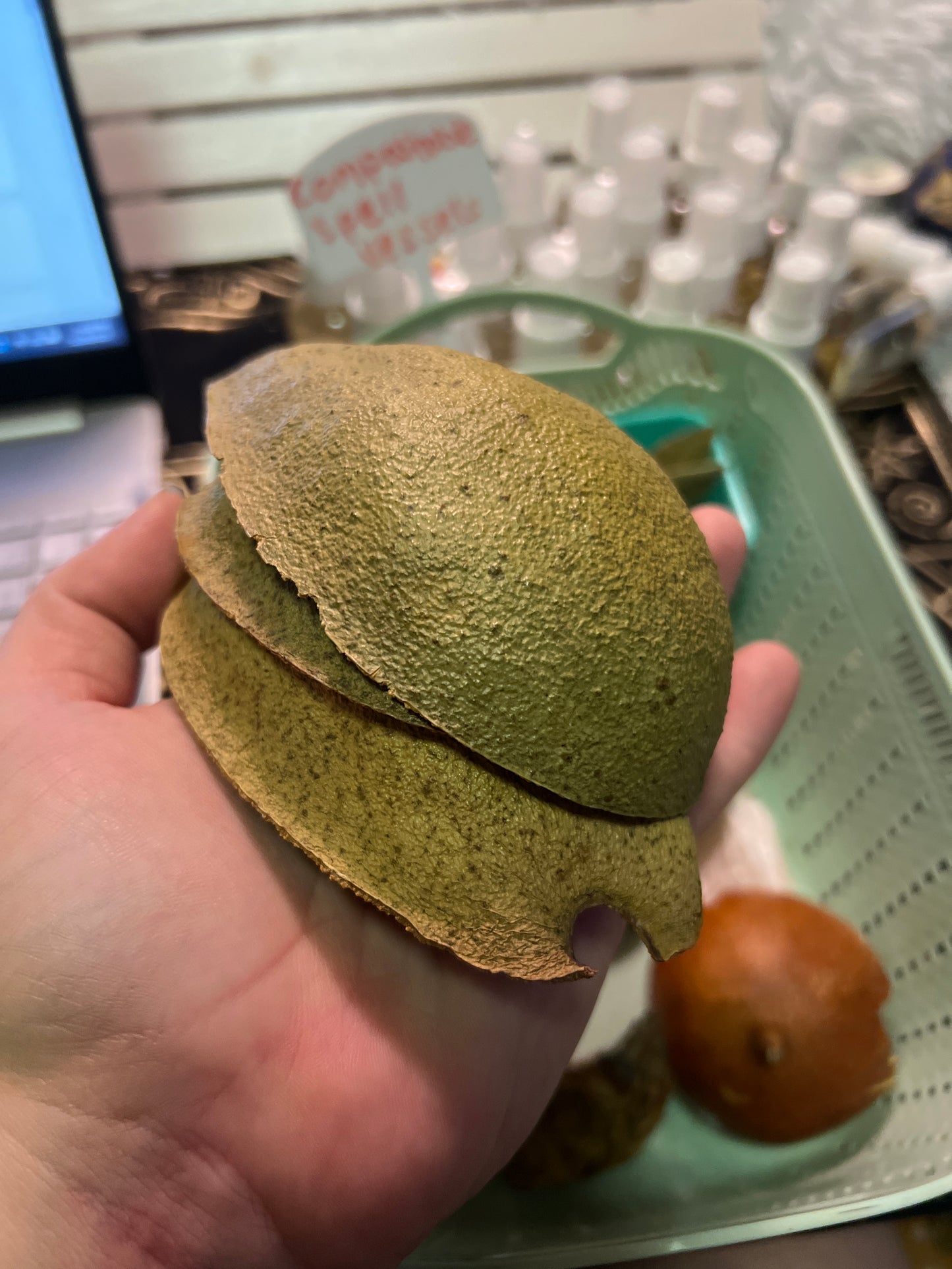 Eco-Friendly Compostable Spell Vessels - Avocado, pomelo, passion fruit