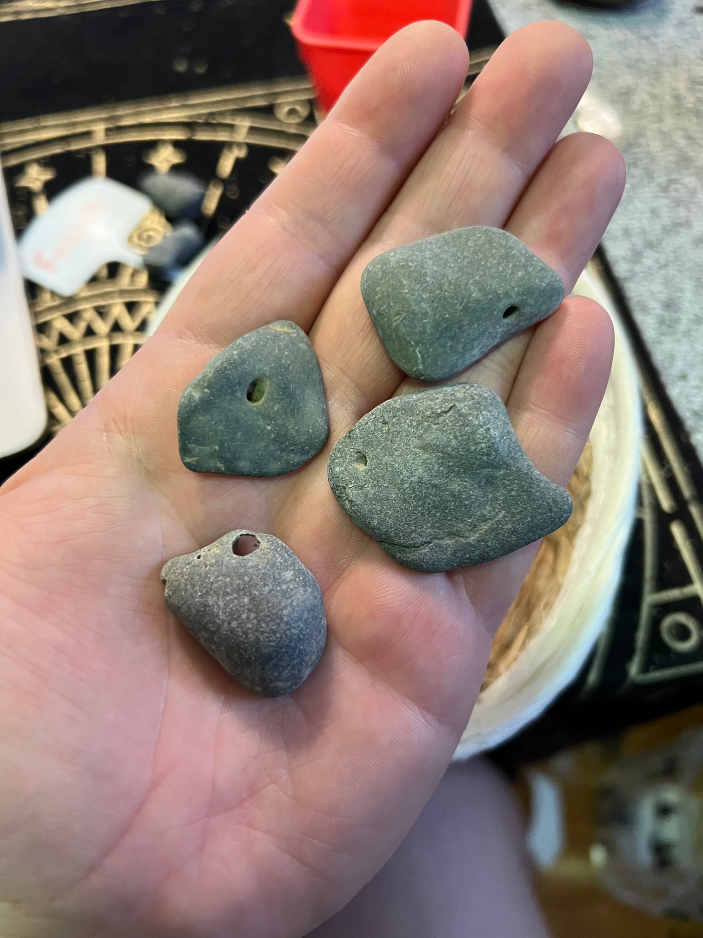 Lucky Stones, Witch Stones &  Fossils from Cayuga Lake