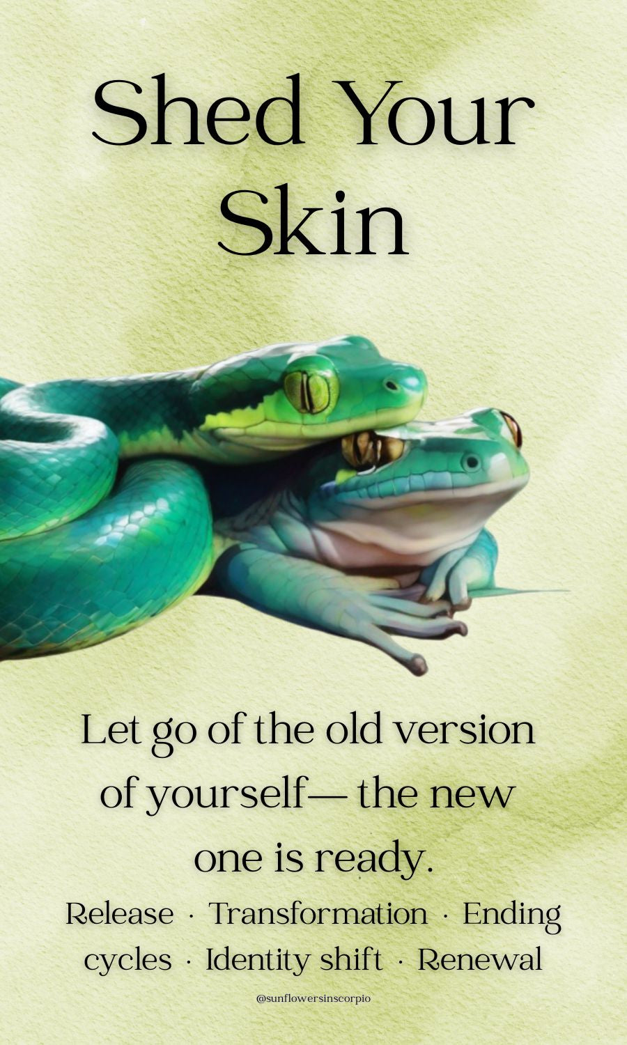 Frog Oracle Deck (Pre-Order)