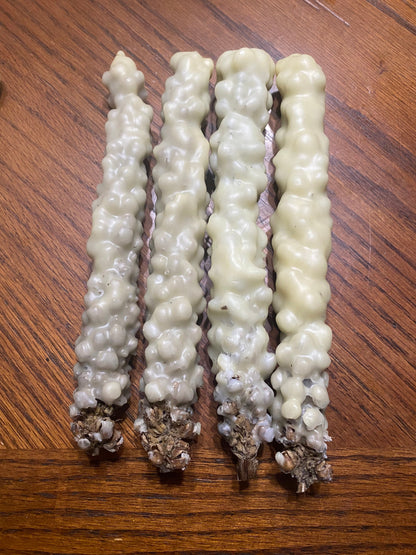 Wild Witch Mullein Torch Candles